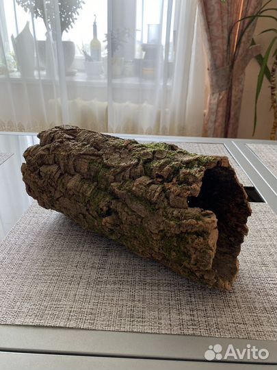 Кора пробкового дуба