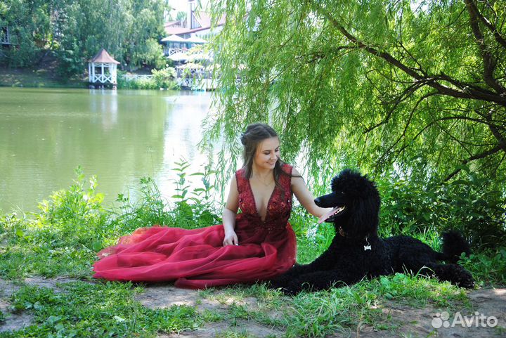 Детский праздник с пуделем