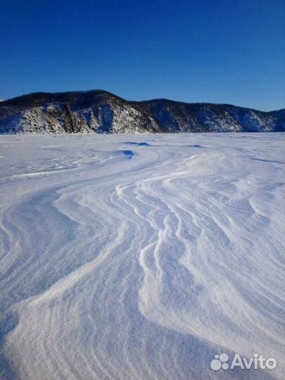 Аренда джипа