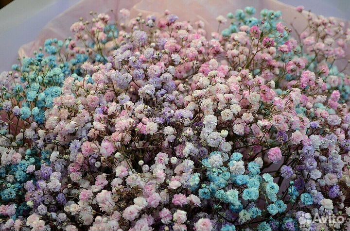 Букет из гипсофилы, доставка цветов