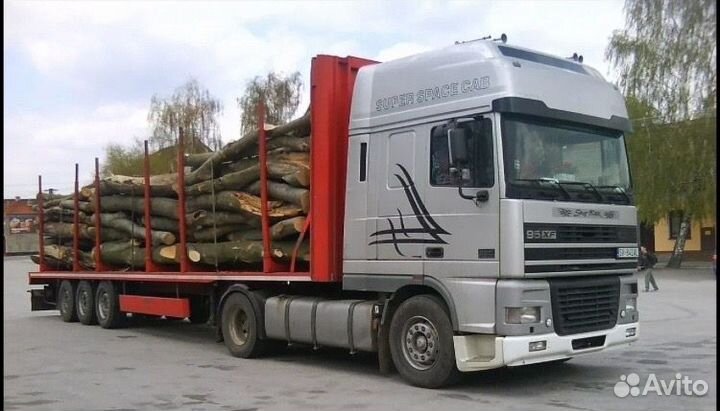 Водитель DAF