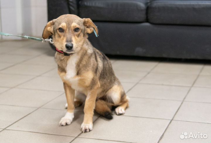 Бусинка ждет своих маму и папу