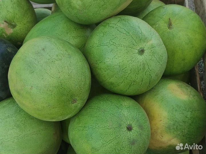Арбузы