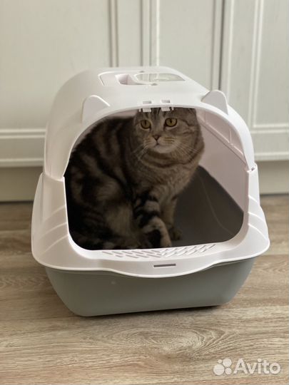 Туалет домик для кошек
