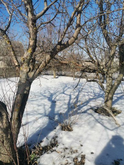 Дом 20 м² на участке 5 сот.