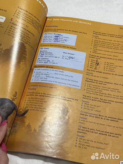 Учебник по английскому языку, new opportunities