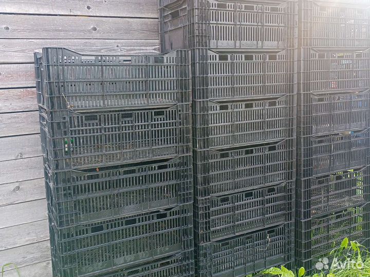 Ящики пластиковые