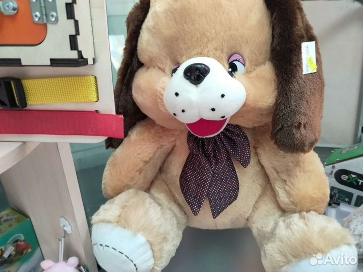 Собака Большая