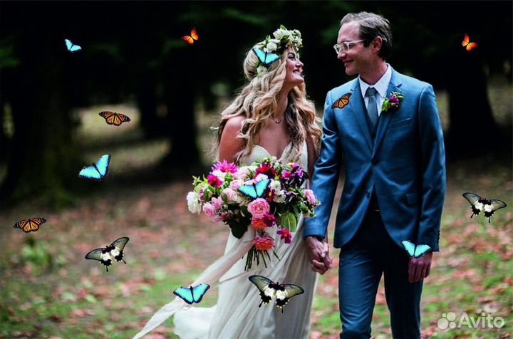 Салют из Живых Тропических Бабочек с/б-19