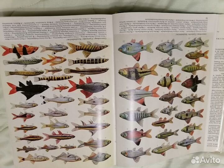 Книга - справочник аквариумиста