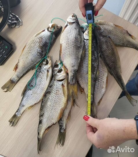 Азовская тарань