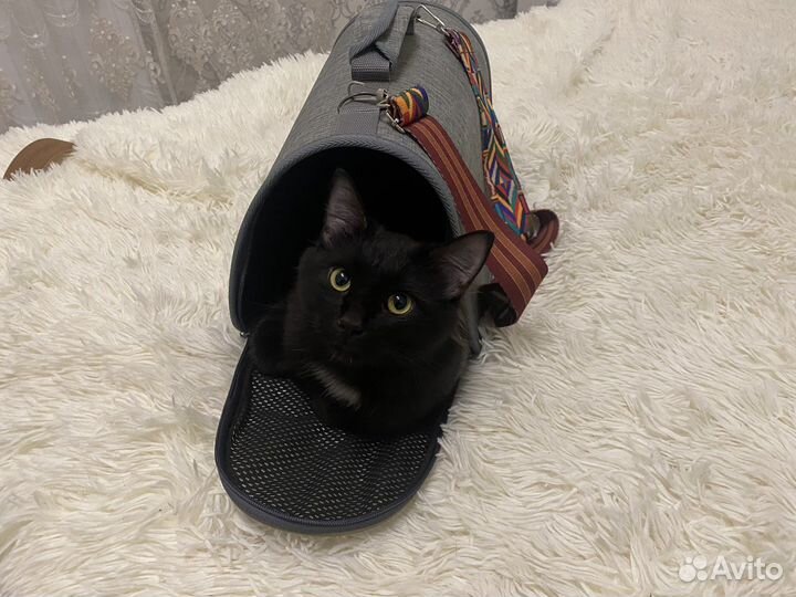 Переноска для животных