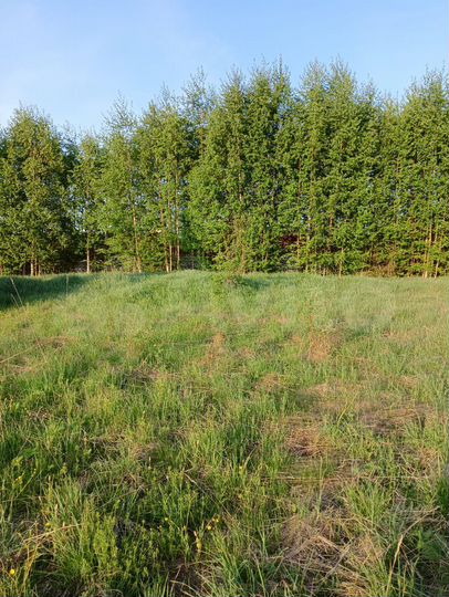 Участок 25 сот. (ИЖС)