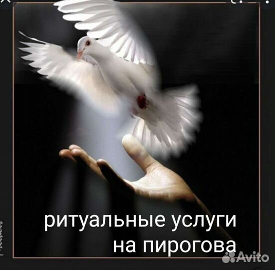 Ритуальные услуги на улице Пирогова
