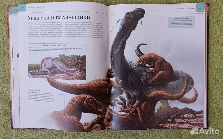 Детские энциклопедии