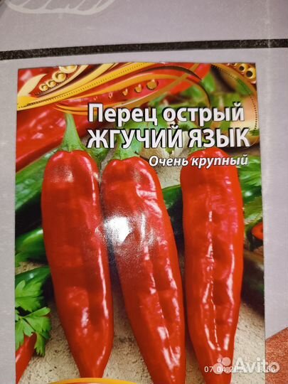 Рассада острого перца