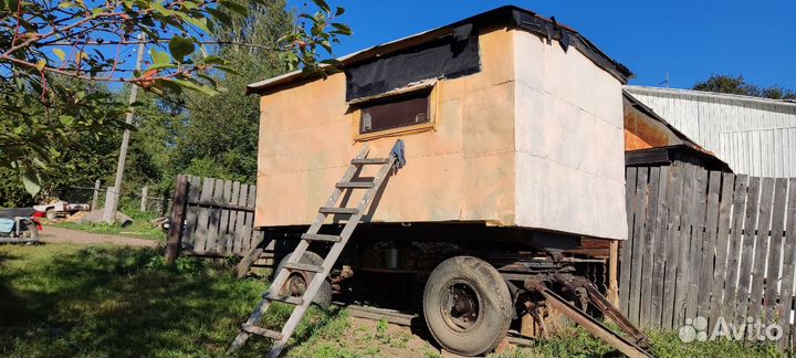 Пчелы и улья