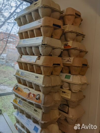 Поддоны для яиц, лотки под яйца