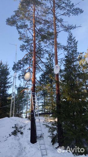 Триколор тв настройка, нтв-Плюс, Интернет