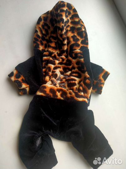 Одежда для собак