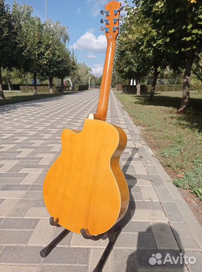 Акустическая гитара Elitaro