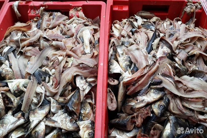 Рыба на корм животным