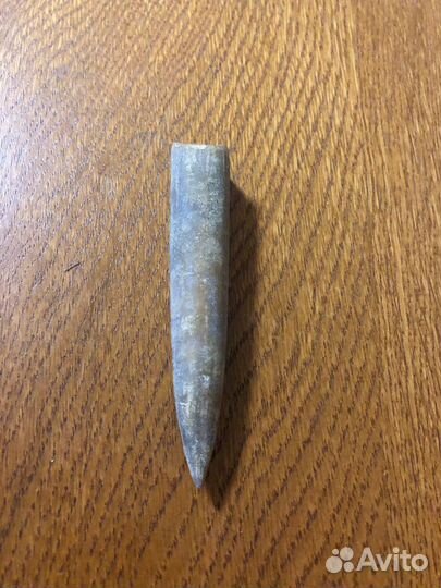 Белемниты чертов палец