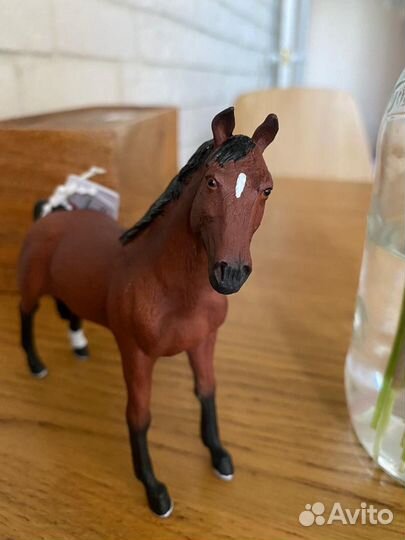 Лошадь новая Морган Mojo+ наездник