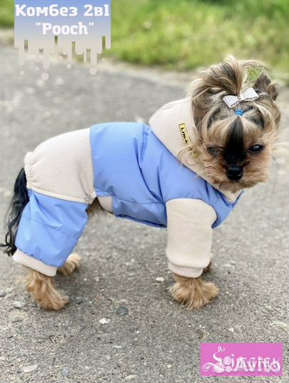 Комбинезон для собаки