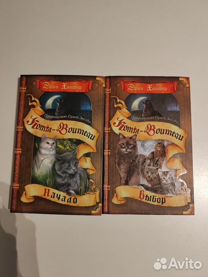 Коты-Воители