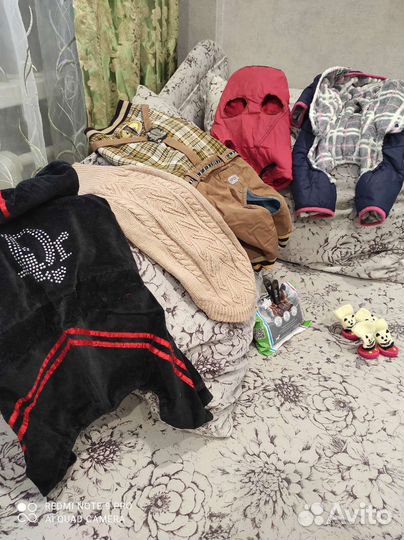 Костюмчик для маленькой собачки