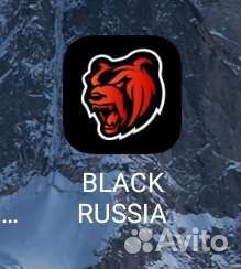 Тренер по блек раша
