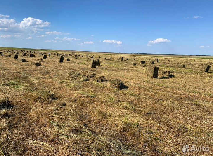 Сено в тюках