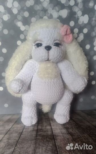 Собачка Леди