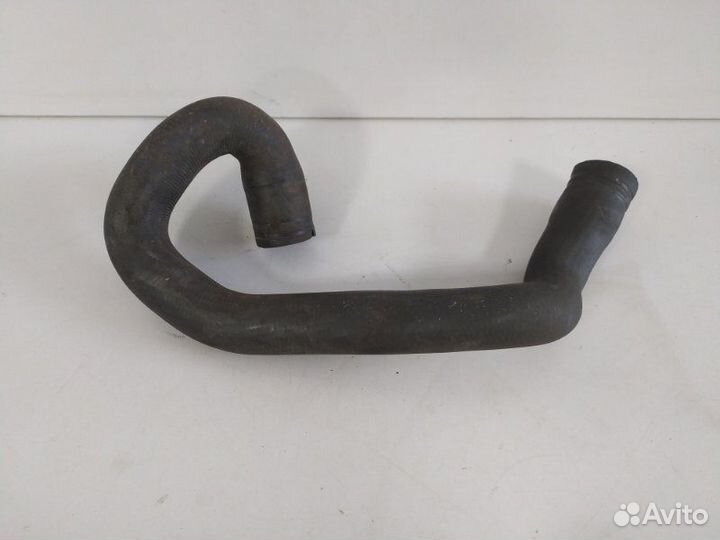 Патрубок радиатора нижний правый Ford Focus 2