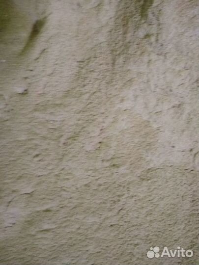 Дрова дубовые, опилки