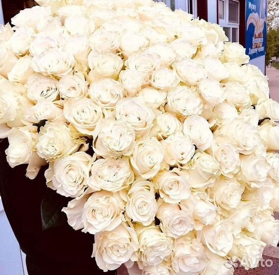 Высокие розы Гигантские розы Доставка цветов