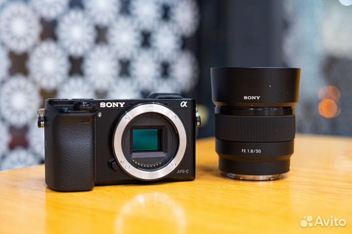 Sony A6000 + FE 50/1.8