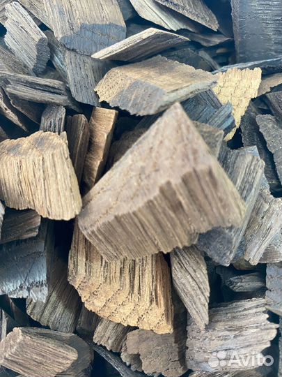 Щепа Кавказского Дуба (элит)