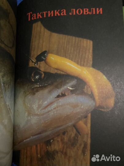 Рыбалка. Ловля спиннингом Яцек Колендович