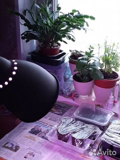 Фитолампа uniel LED-A60-10W полного спектра