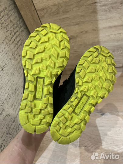 Кросовки ecco на мальчика размер 31