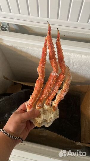 Клешни камчатского краба