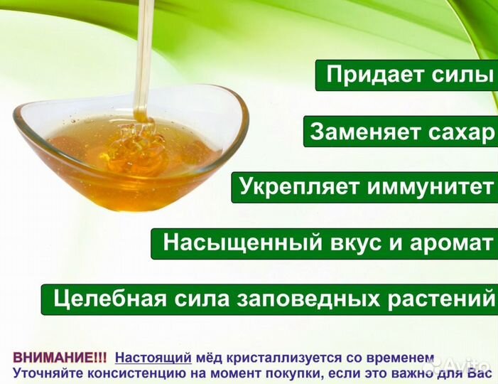 Алтайский мед (опт)