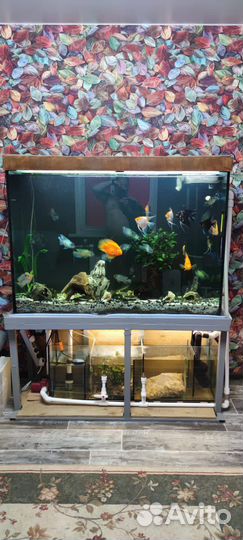 Аквариум