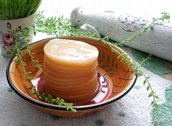 Чайный гриб комбуча