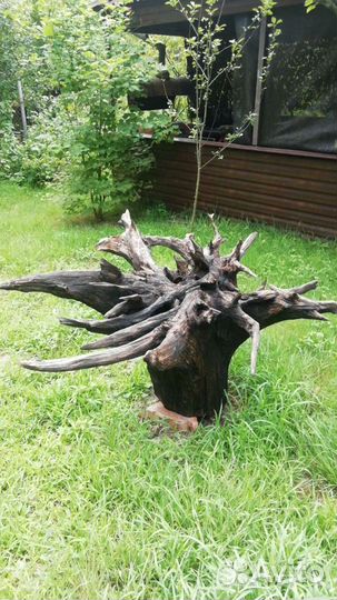 Корень для изготовления стола