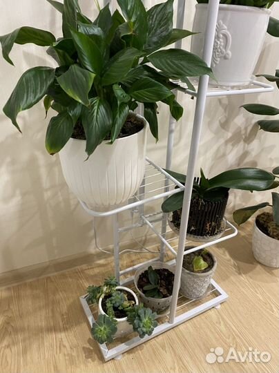 Подставка стойка полка для растений цветов