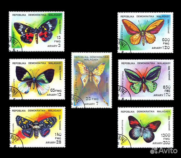 Фауна. Бабочки