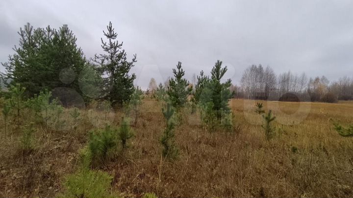 Участок 10 сот. (ИЖС)